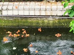 -东山湖公园