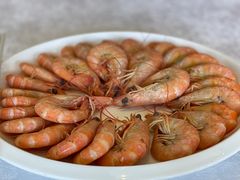 -欢乐海岸美食联盟