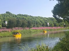 -嘉北郊野公园