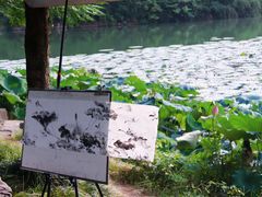 -三垟湿地