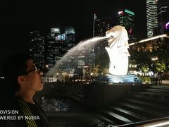 -鱼尾狮公园