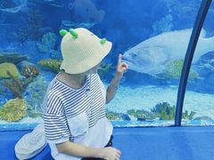 -福州罗源湾海洋世界旅游区