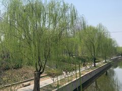 -元大都城垣遗址公园