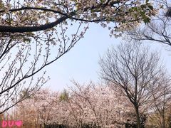 -南湖湿地公园