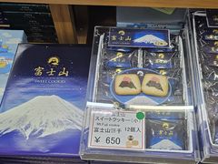 -富士山吉田線五合目