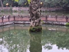 -房湖公园
