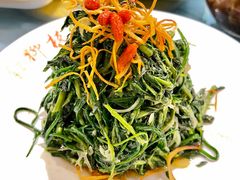 凉拌枸杞苗-红柳枝滩羊烧烤·非遗