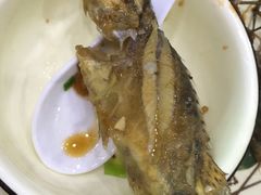 -全乐鱼馆·淳牌有机鱼直营店