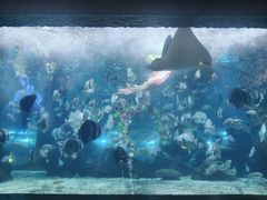 -南昌海洋公园