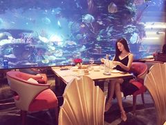 -迪拜帆船酒店海底餐厅