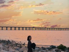 -宝安西湾红树林湿地公园