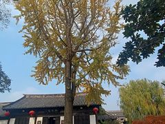 -常熟方塔园