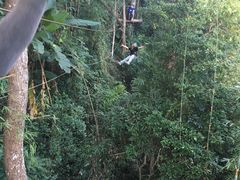 -清迈丛林飞跃 JungleFlight