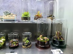 -ADA自然水景世界