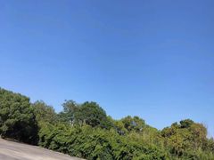 -胜华驾校·小猫学车(银都店)