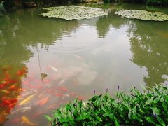 -中国茶叶博物馆(双峰馆区)