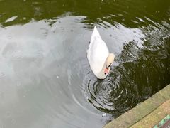 -昆明动物园