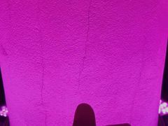 -人民防洪胜利纪念塔