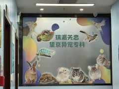 -瑞派·关忠动物医院·异宠专科·犬猫肿瘤·皮肤专科(望京店)