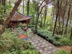 -铁山坪森林公园