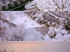 -苏州上方山国家森林公园