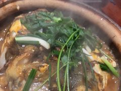 -华仔土鸡店(南洲分店)