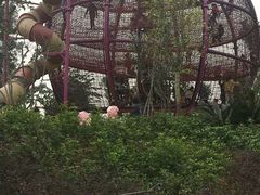 -枫香湖儿童公园