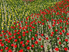 -长春公园(普阳街道)