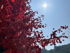 -东莞观音山旅游风景区