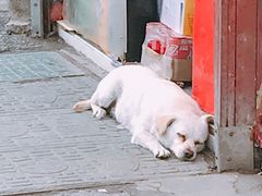 -荣巷小馄饨(荣巷店)