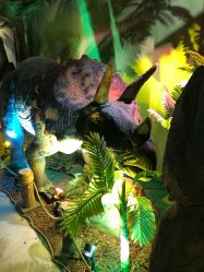 -恐龙探索乐园(磁器口店)