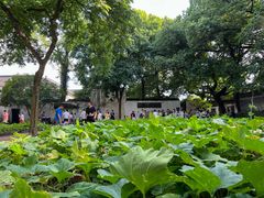 -上海鲁迅故居