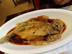清蒸石斑鱼-燕云楼(云南路店)