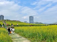 -光明小镇欢乐田园