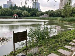-新虹桥中心花园