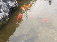 -观宴·品质赣菜(高新大道店)