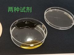 -宁波九龙湖开元度假村