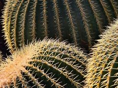 -北京植物园-展览温室