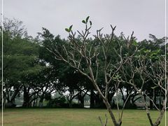 -万绿园