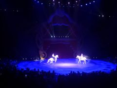 -珠海横琴长隆《卡卡虎奇遇记》