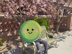 -清风小镇闯关东影视基地