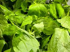 -黔府豆米火锅野菜馆(南马店)