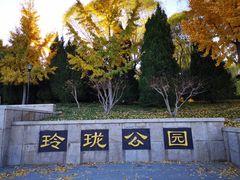 -玲珑塔公园