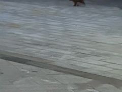 -南宁万达茂娱乐岛