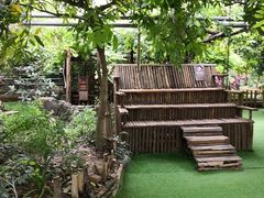 -呀路古热带植物园