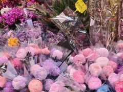 -越秀西湖花市(广州城市广场花卉店)