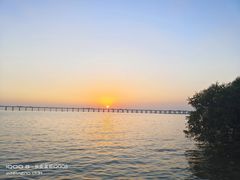 -宝安西湾红树林湿地公园