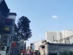 -黑色经典臭豆腐·湖南特产(坡子街店)