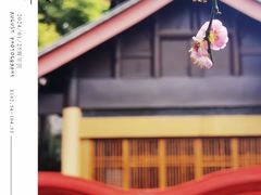 -青羊宫