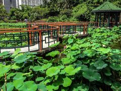 -纪念孙中山市政公园